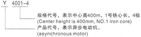 西安泰富西玛Y系列(H355-1000)高压YJTFKK5603-2/1800KW三相异步电机型号说明