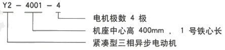 YR系列(H355-1000)高压YJTFKK5603-2/1800KW三相异步电机西安西玛电机型号说明